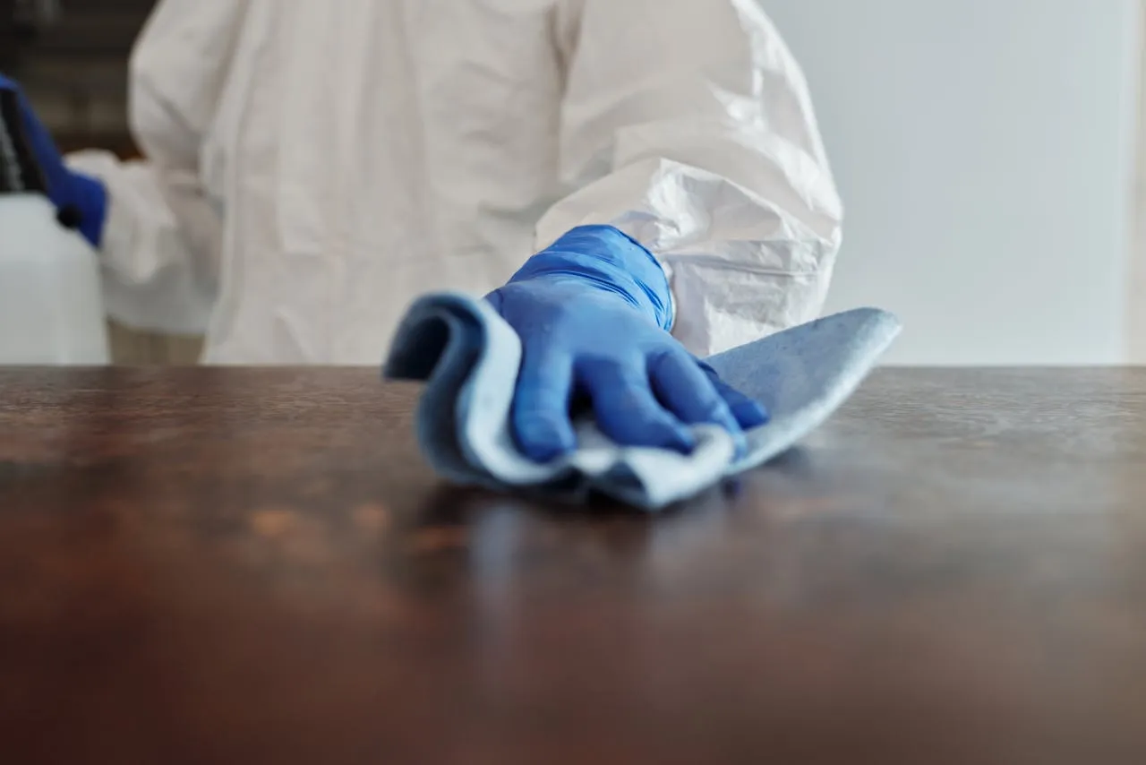 Our Team in Action — healthcare cleaning by Dory's